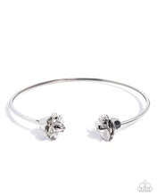 Load image into Gallery viewer, Paparazzi Accessories - Rosy Radius - Silver
