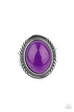 Load image into Gallery viewer, Paparazzi Accessories - Stone Terrarium - Purple
